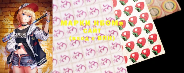 прущие грибы Вязники